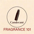 Fragrance 101 Guide